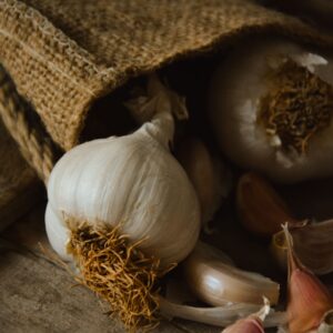 Garlic