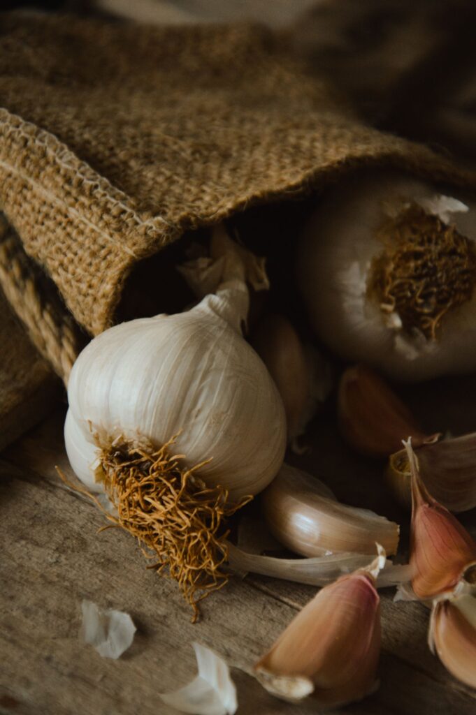 Garlic