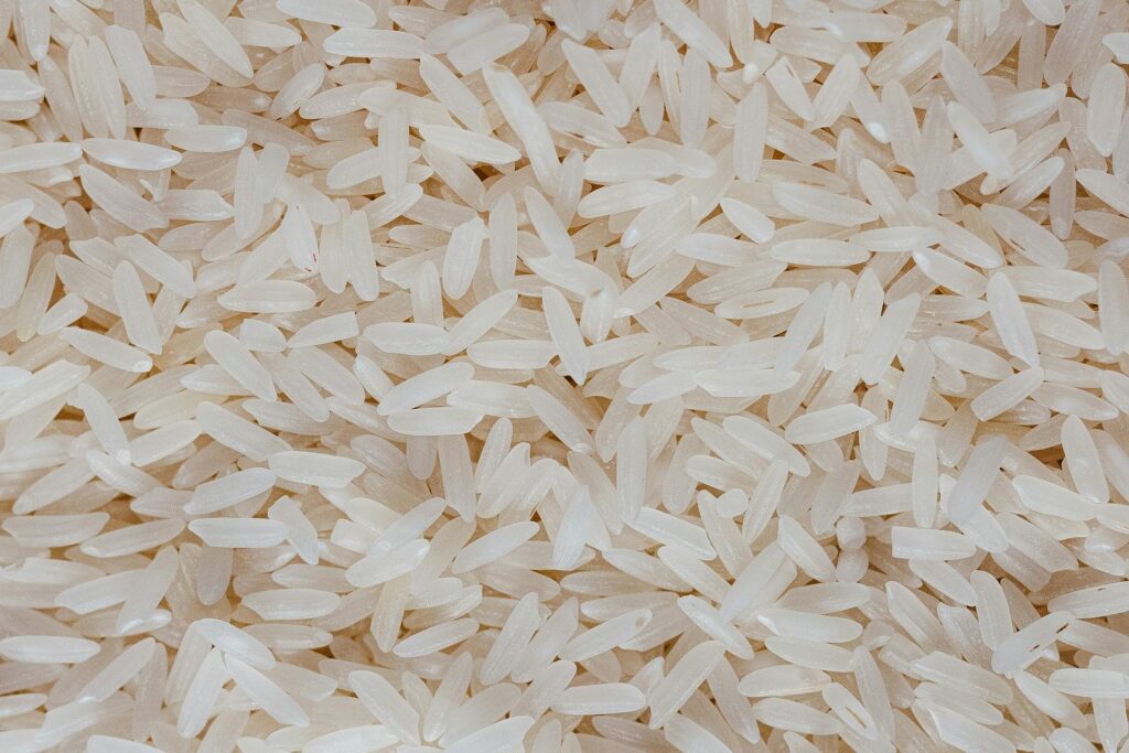 Rice