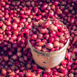 Fresh Red Onion