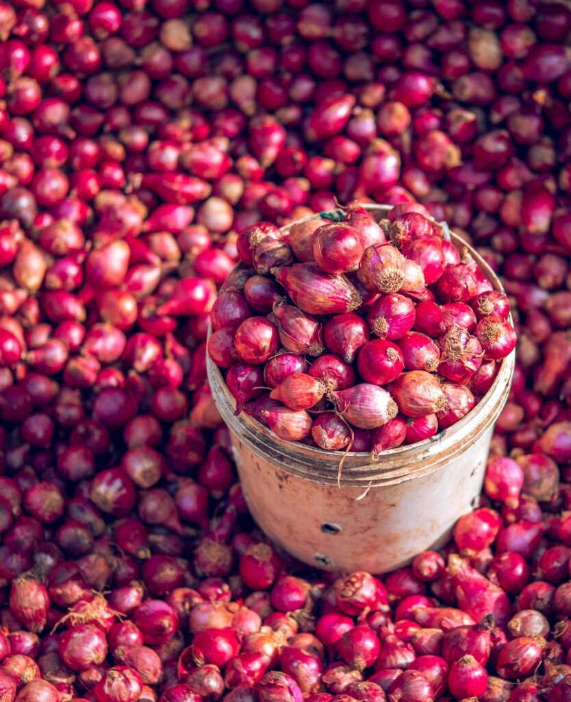 Fresh Red Onion